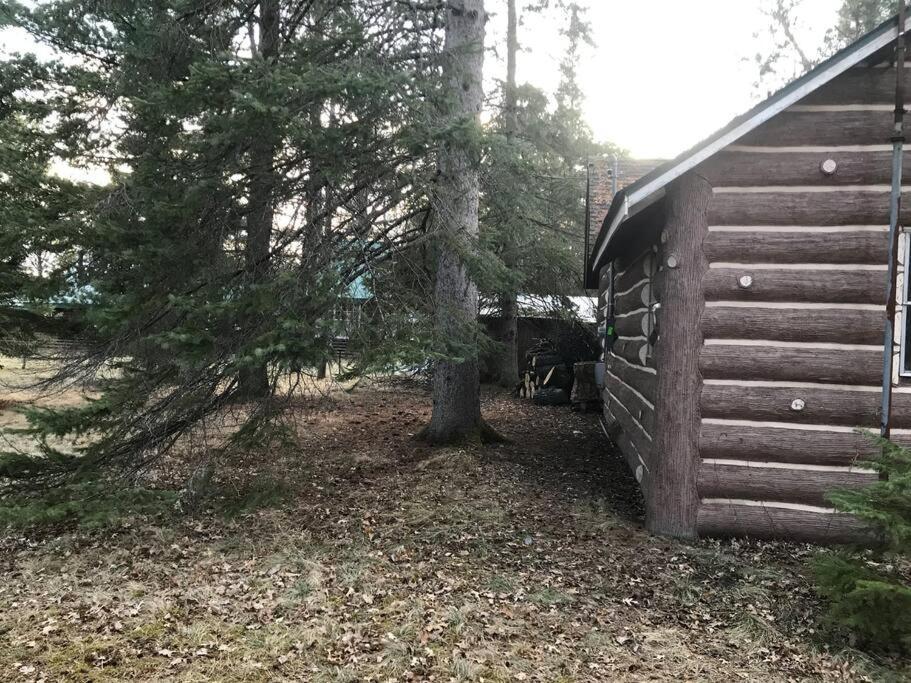 O Me, O Mio Cabin Near The Ausable River Exterior foto